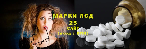 хмурый Алзамай