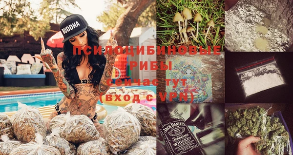 хмурый Алзамай
