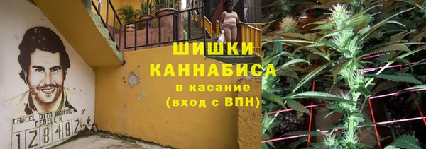 ПСИЛОЦИБИНОВЫЕ ГРИБЫ Арсеньев