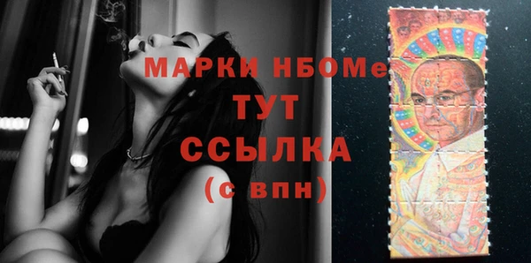 хмурый Алзамай